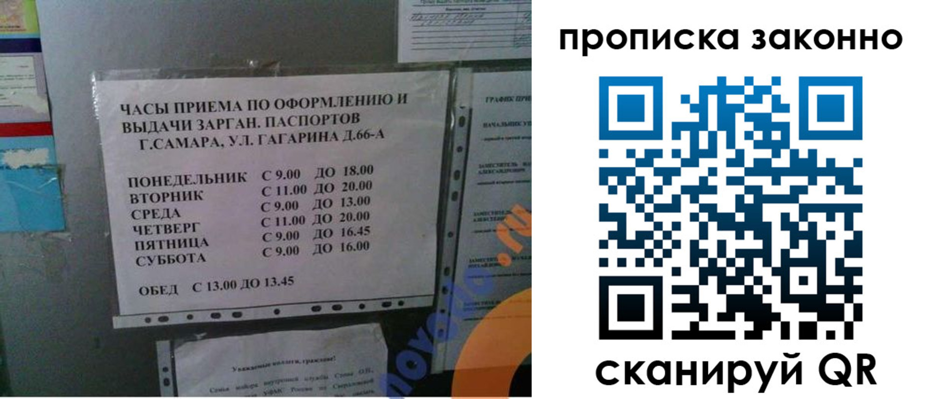 прописка гарантия в Ногинске